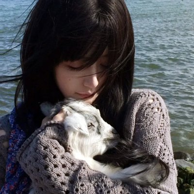 摄影师贝尔蒂与海豚零距离